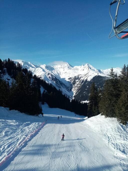 L'Appartement Les Bossons En Lisiere De Foret Dans Le Chalet Genepi Areches Exterior photo